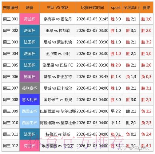 全方位解析：世界杯比分APP全站应用指南